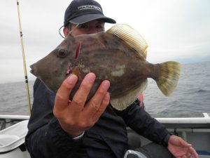 美咲丸 釣果