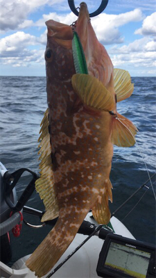 久しぶりの丹後タイラバ釣行