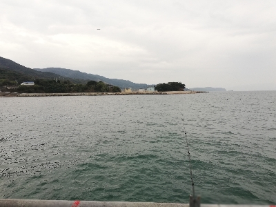 平日なら人気の釣り公園もいいかもね