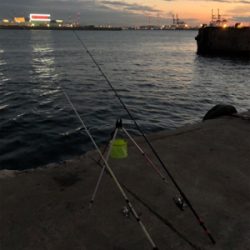 地元でサビキと太刀魚釣り