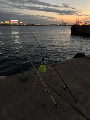 地元でサビキと太刀魚釣り