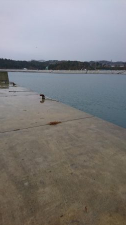 雨の中投げ釣り