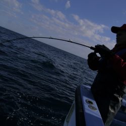 松鶴丸 釣果