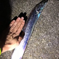 太刀魚釣り