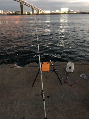 地元でサビキと太刀魚釣り