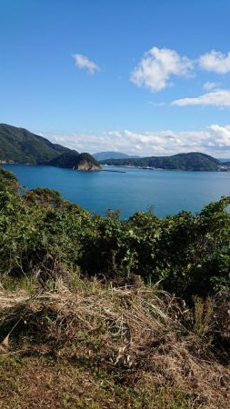 ヤエンとウキ釣りでアオリイカ(^O^)