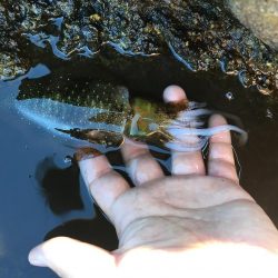 キロアップ狙い釣行でまさかの、