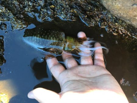 キロアップ狙い釣行でまさかの、