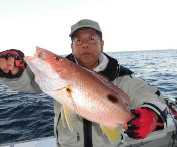 青物釣り