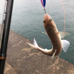 小雨の中、諦めずに頑張った…。