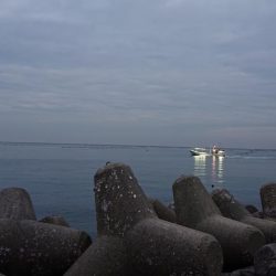 カレイ釣り、落ちギス釣り