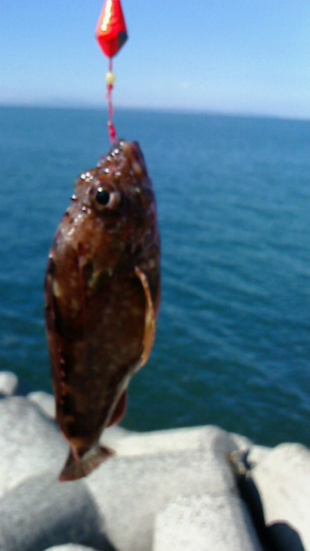 久しぶりの穴釣り