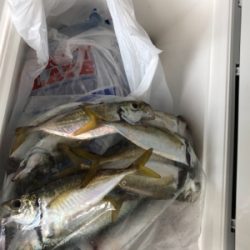 親父たちの釣行  大阪湾編