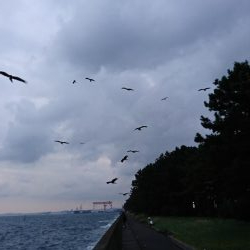 タチウオからの青物！！