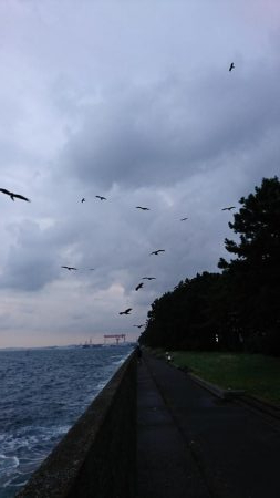 タチウオからの青物！！