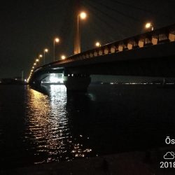 南港カモメ大橋ヘチ釣行 （キビレ42cm、ガシラ　釣果有り）