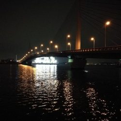 南港カモメ大橋ヘチ釣行 （キビレ31cm、ガシラ21cm、小シーバス　釣果有り）