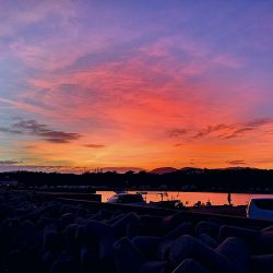 夕方の入れ食いパターン