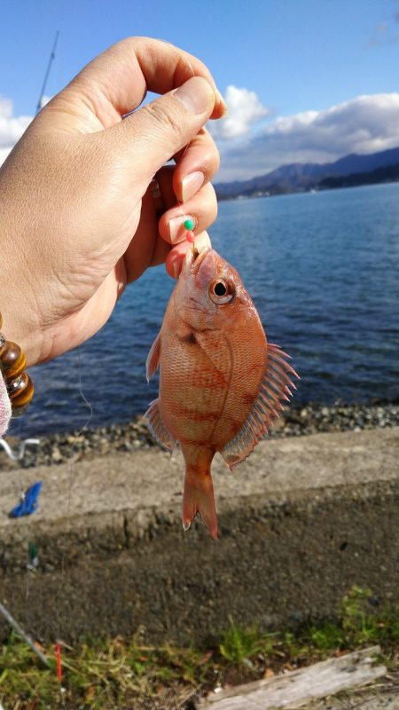 カレイ狙い投げ釣りでカワハギ