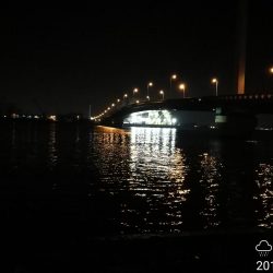 南港カモメ大橋ヘチ釣行 （キビレ36cm、ガシラ、他釣果有り）