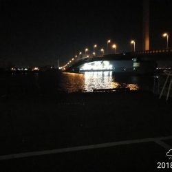 南港カモメ大橋ヘチ釣行 （キビレ33.5cm、ガシラ　コトヒキ　釣果有り）