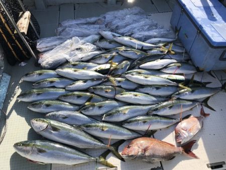 ふじしめ丸 釣果