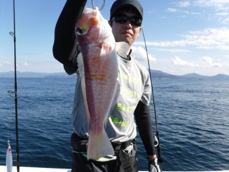 ＢｌｕｅＮｏｔｅ　Ｆｉｓｈｉｎｇ　Ｔａｘｉ 釣果