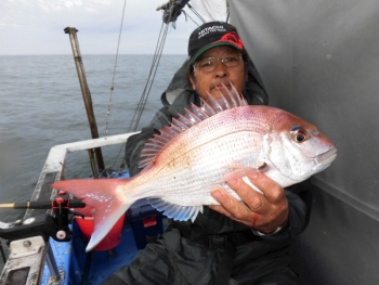 鯛紅丸 釣果