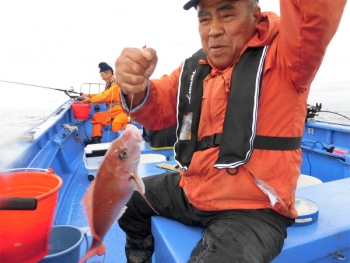 鯛紅丸 釣果