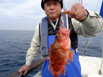 鯛紅丸 釣果