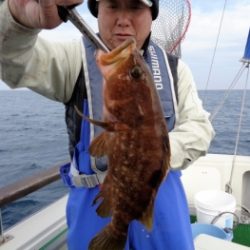 鯛紅丸 釣果