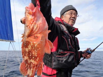 鯛紅丸 釣果