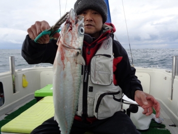 鯛紅丸 釣果