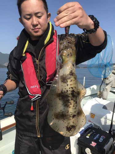 釣船 浦島太郎 釣果