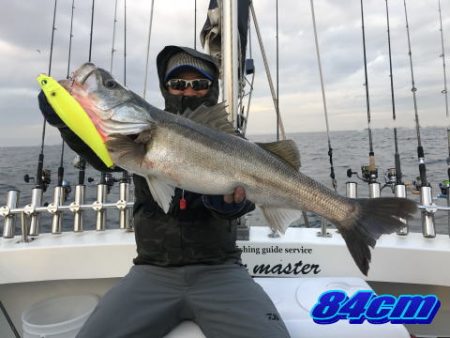 オーシャンマスター 釣果