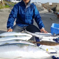 みやけ丸 釣果