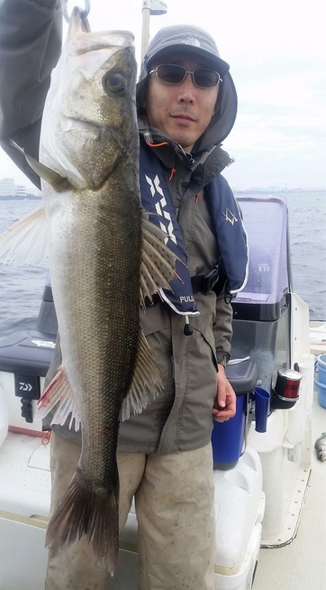 めだか屋 釣果