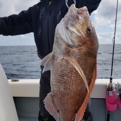 珀宝丸 釣果