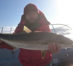 海龍丸（福岡） 釣果