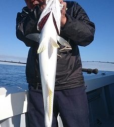 海龍丸（福岡） 釣果