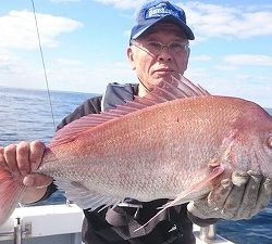 海龍丸（福岡） 釣果