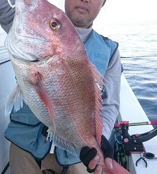 海龍丸（福岡） 釣果