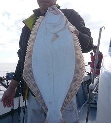 海龍丸（福岡） 釣果