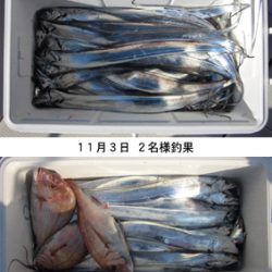 来温丸（らいおんまる） 釣果