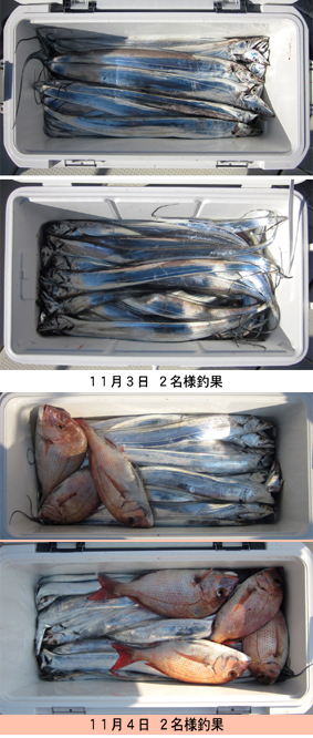 来温丸（らいおんまる） 釣果