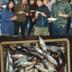 荒川屋 釣果