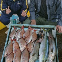 明神釣船 釣果