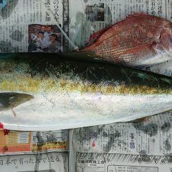 明神釣船 釣果