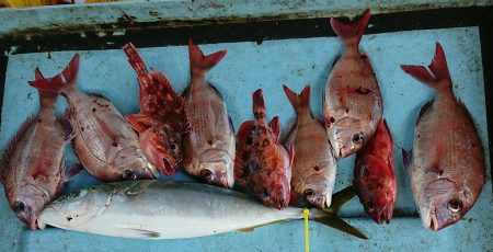 明神釣船 釣果