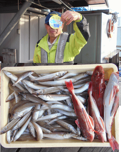 荒川屋 釣果